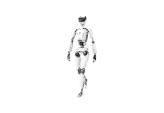 Humanoid robot application