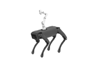 Quadruped robot application